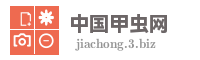 中国甲虫网