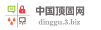 中国顶固网