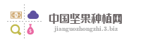 中国坚果种植网