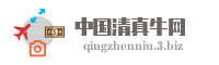 中国清真牛网
