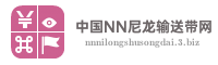 中国NN尼龙输送带网