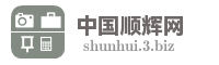 中国顺辉网