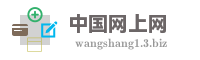 中国网上网