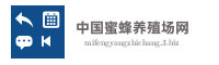 中国蜜蜂养殖场网