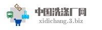 中国洗涤厂网