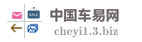 中国车易网