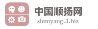 中国顺扬网