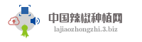 中国辣椒种植网