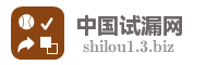 中国试漏网