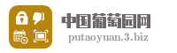 中国葡萄园网