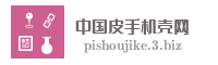 中国皮手机壳网
