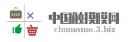 中国触摸膜网