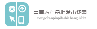 中国农产品批发市场网