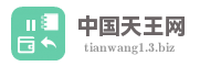 中国天王网