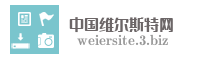 中国维尔斯特网