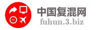 中国复混网