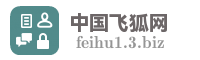 中国飞狐网