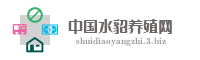 中国水貂养殖网