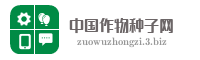 中国作物种子网