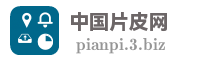 中国片皮网