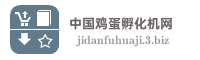 中国鸡蛋孵化机网