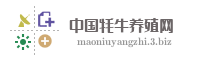 中国牦牛养殖网