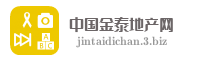 中国金泰地产网