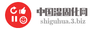中国湿固化网