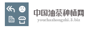 中国油茶种植网