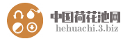 中国荷花池网