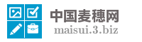 中国麦穗网