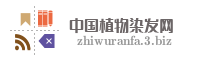中国植物染发网