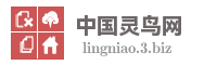 中国灵鸟网