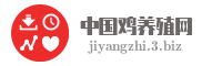 中国鸡养殖网
