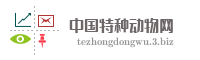 中国特种动物网