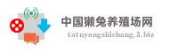中国獭兔养殖场网