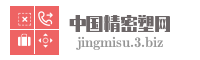 中国精密塑网