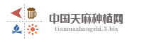 中国天麻种植网